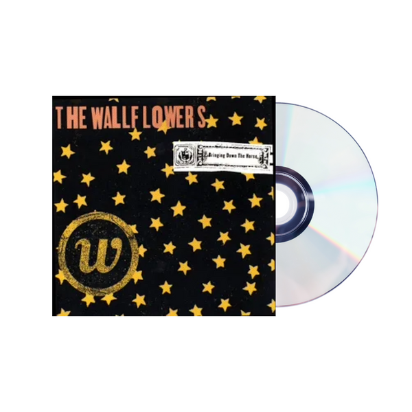 The Wallflowers - Bringing down the horse